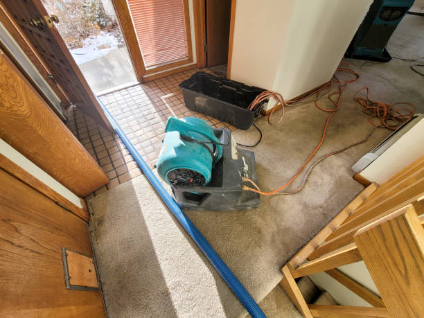 Best Water damage restoration near me  in East Tawas, MI