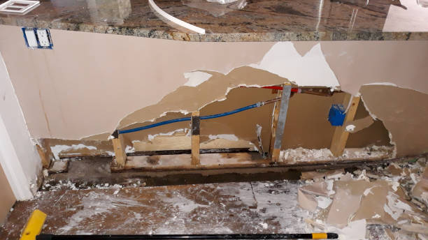 Best Ceiling water damage repair  in East Tawas, MI