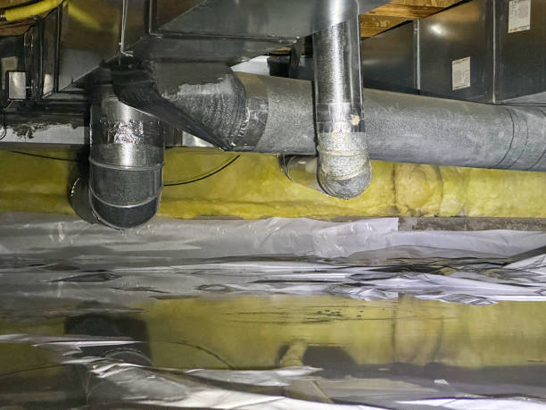 Best Local water damage restoration  in East Tawas, MI