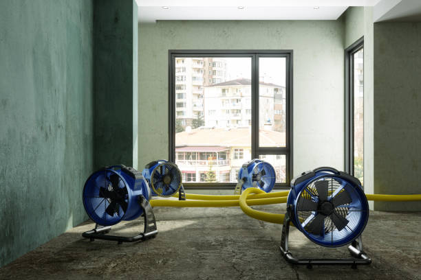 Reliable MI Water damage restoration Solutions